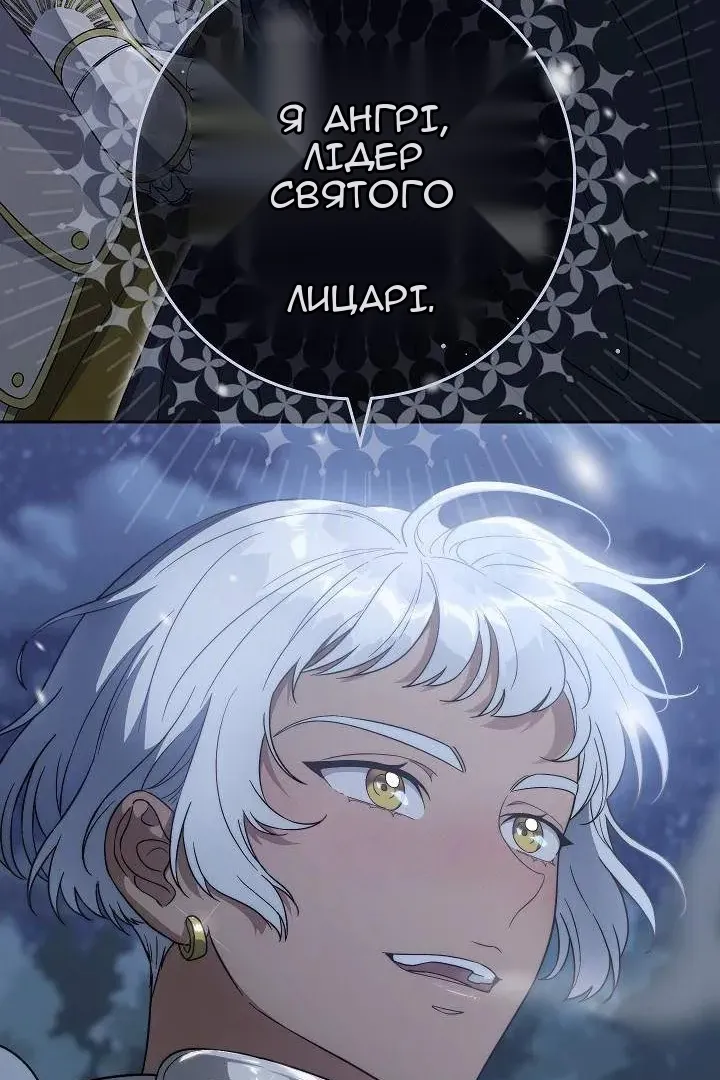 Сторінка 114