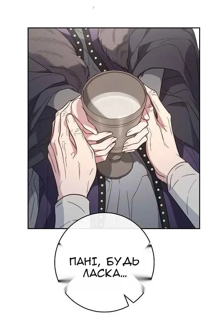 Сторінка 100