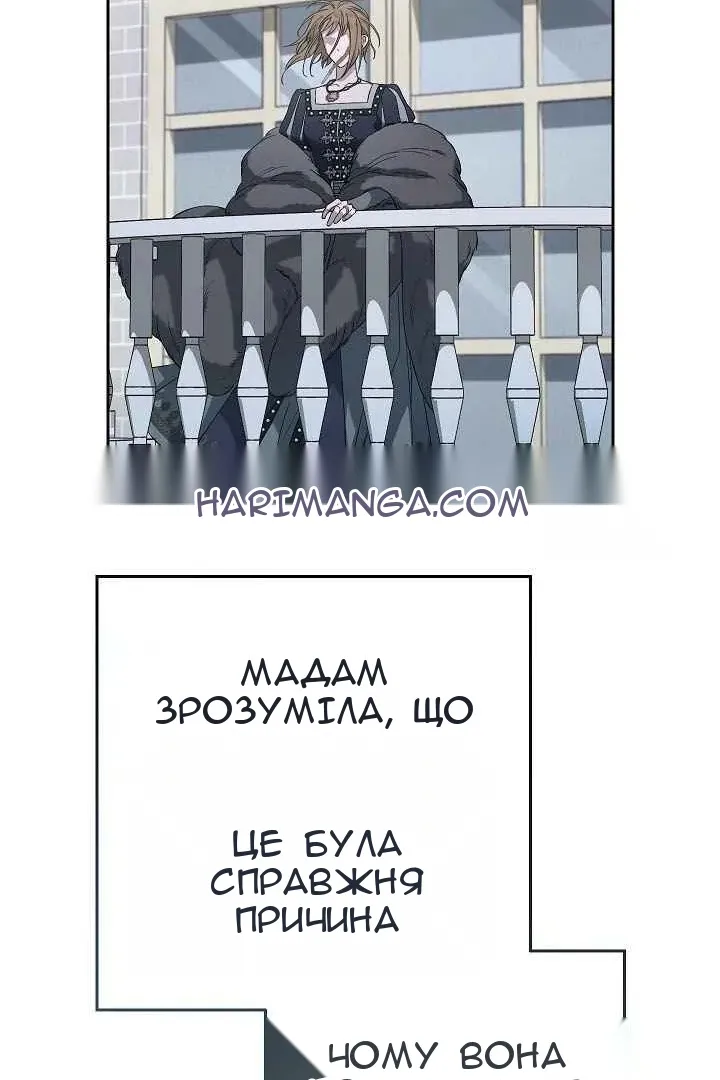 Сторінка 113