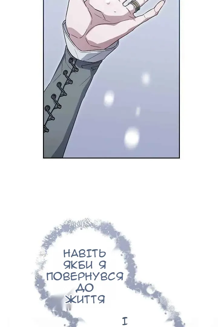 Сторінка 117