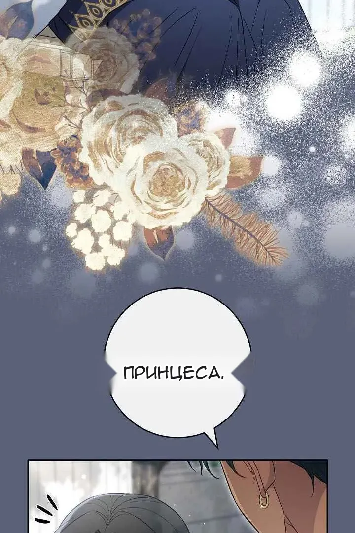 Сторінка 54
