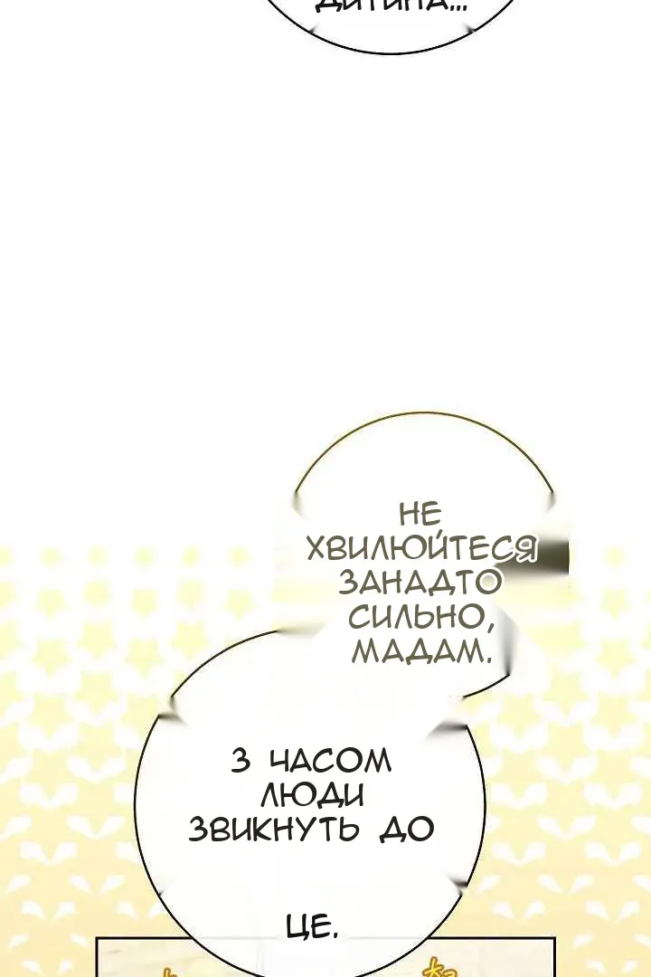 Сторінка 41