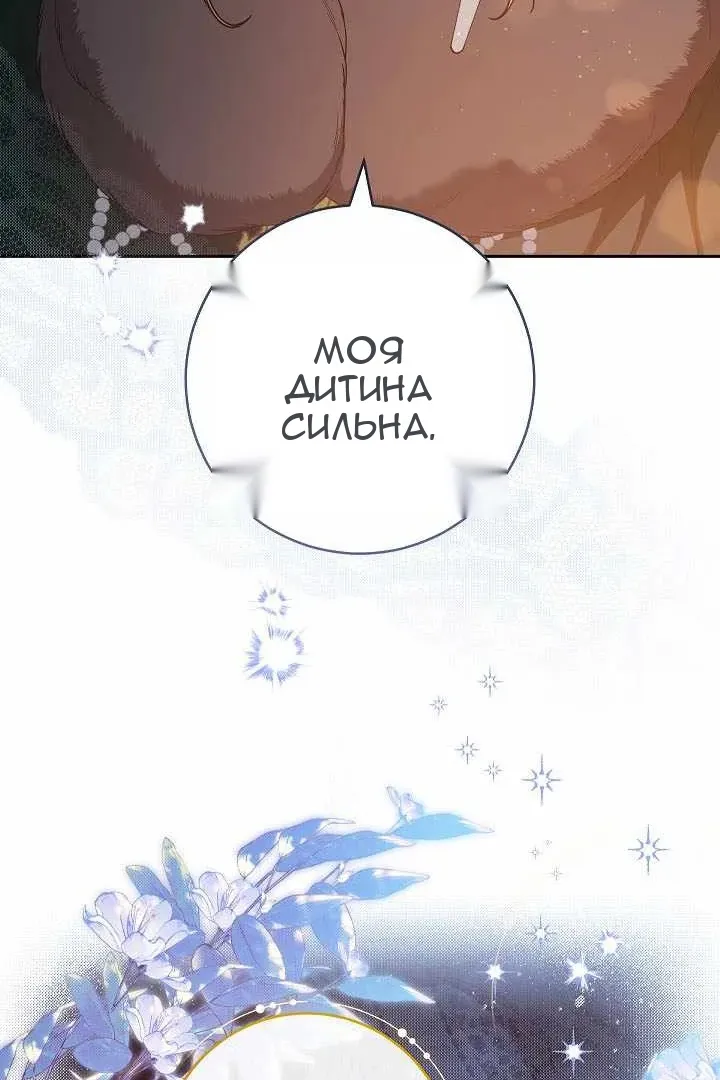 Сторінка 111