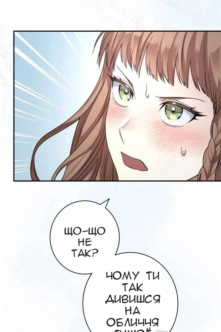 Сторінка 73