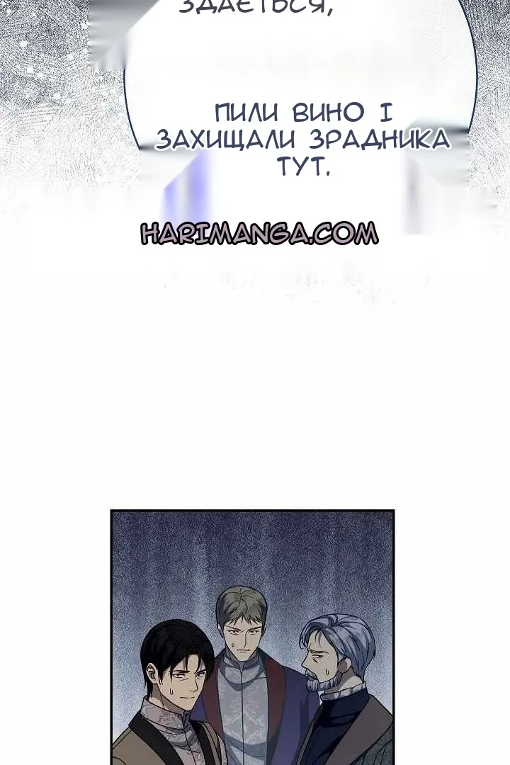 Сторінка 29