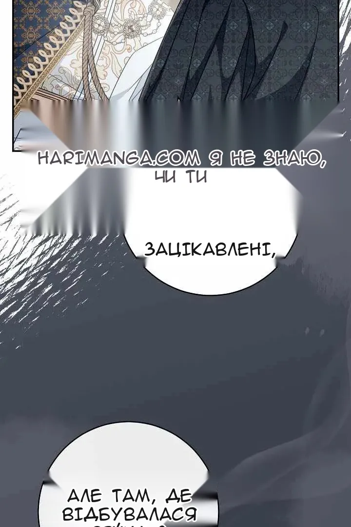 Сторінка 31