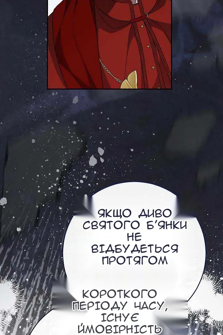 Сторінка 41