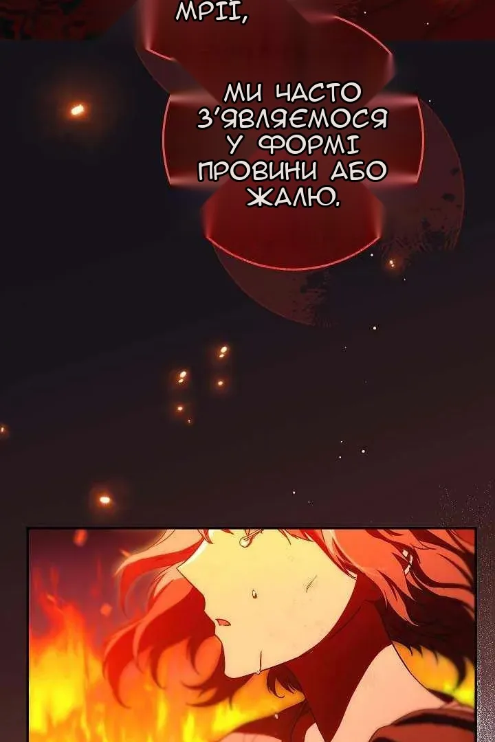 Сторінка 29