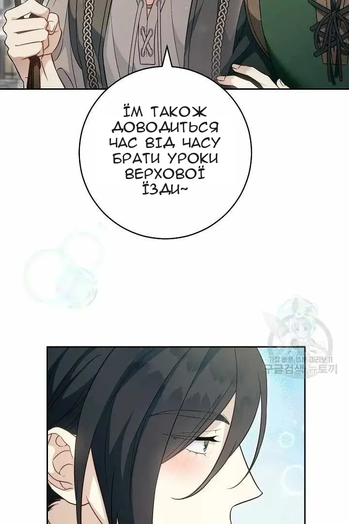 Сторінка 41