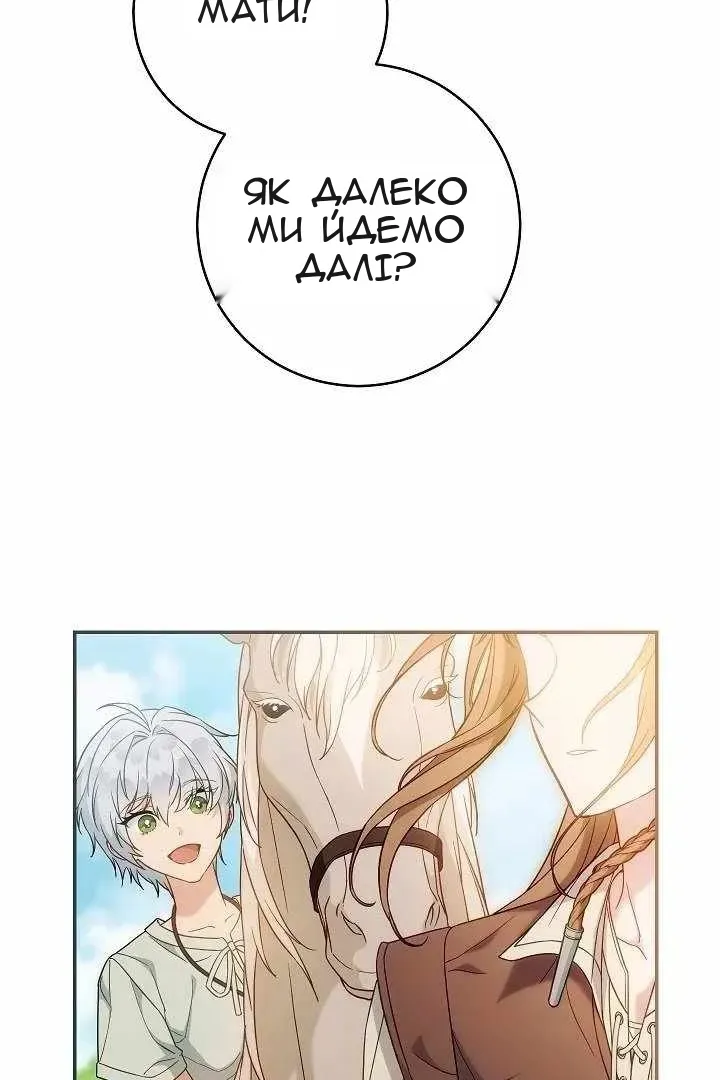 Сторінка 5