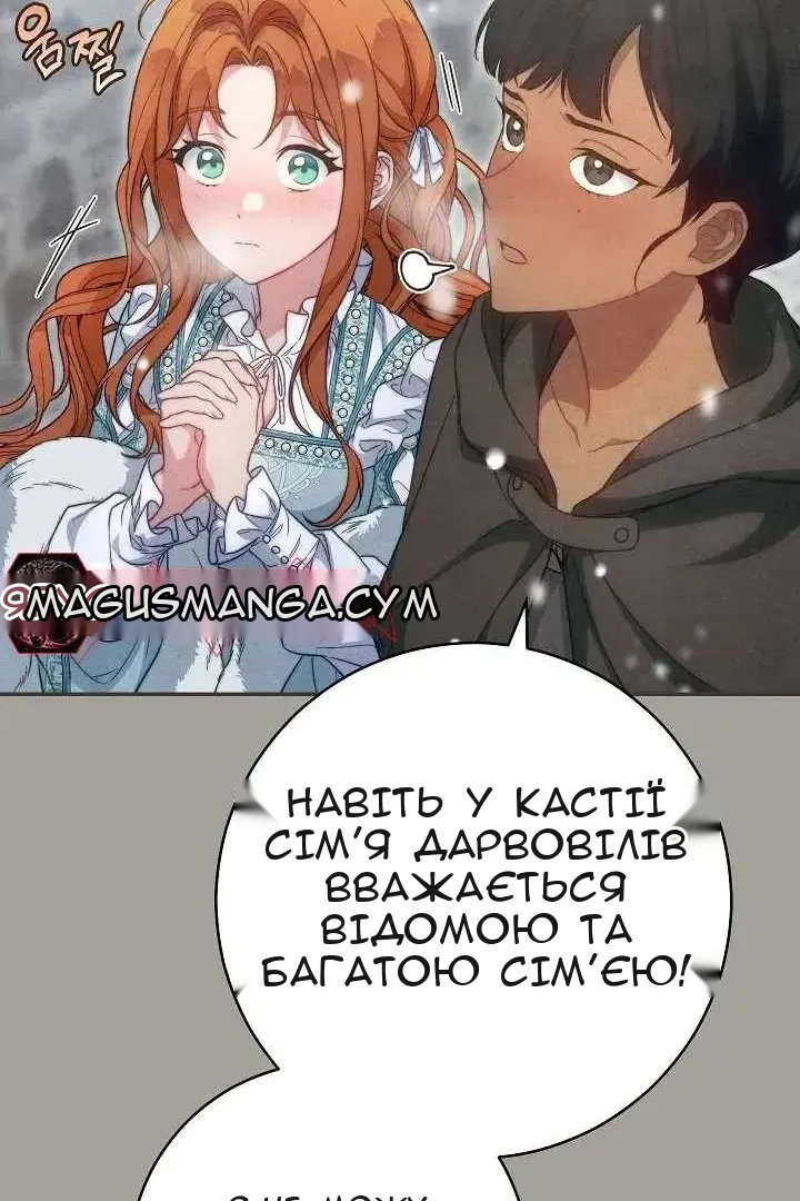 Сторінка 41