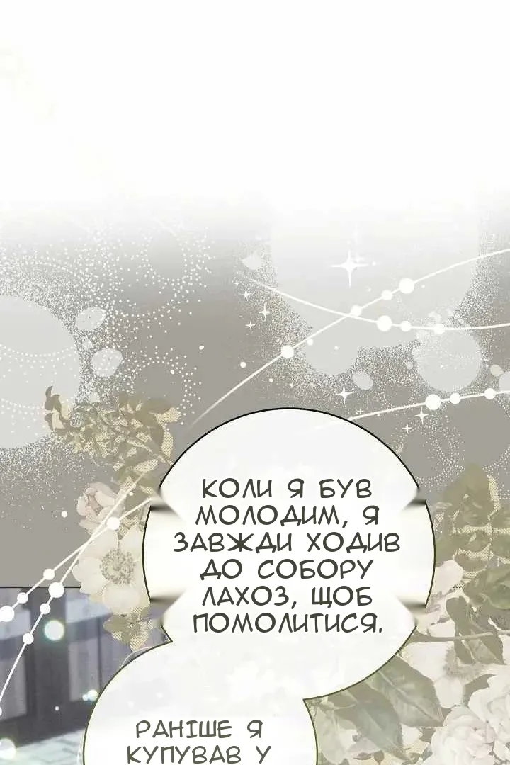 Сторінка 17