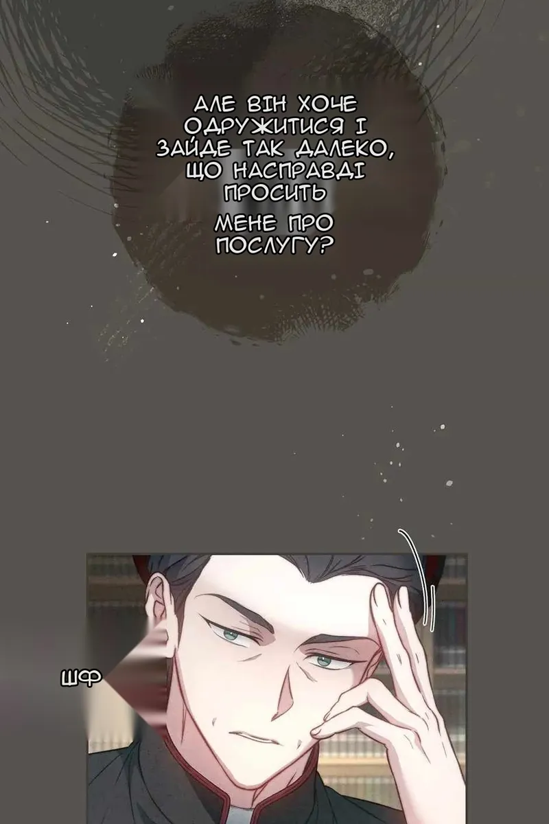 Сторінка 17