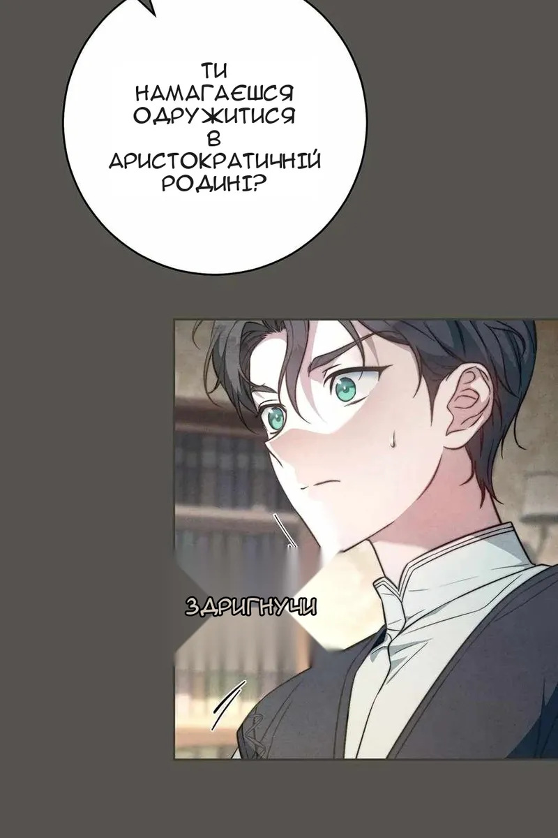 Сторінка 19