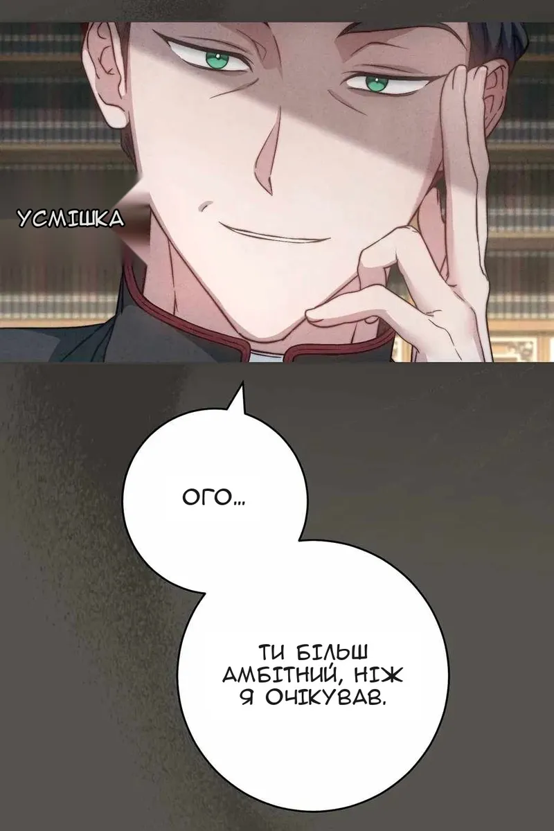 Сторінка 21