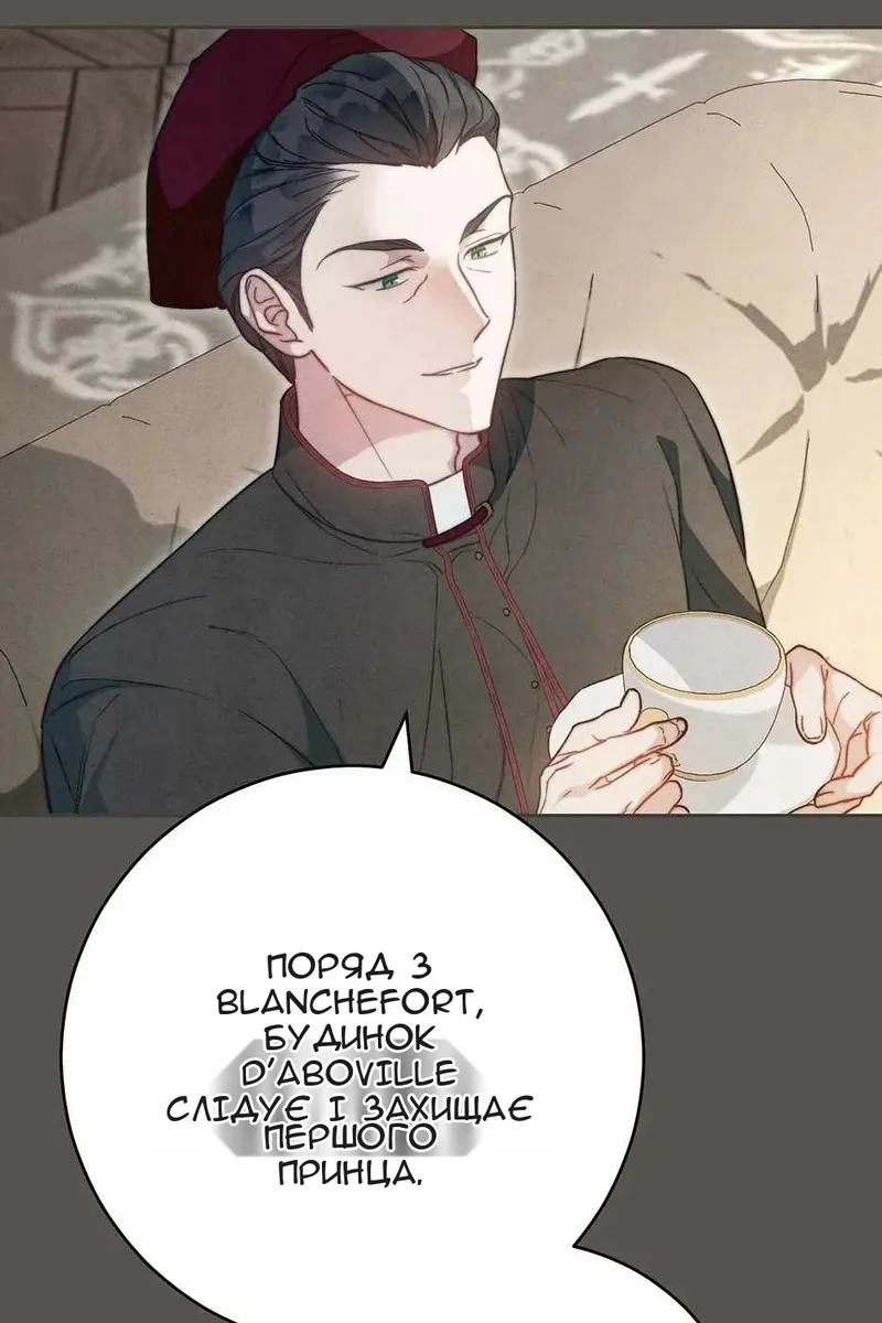Сторінка 29