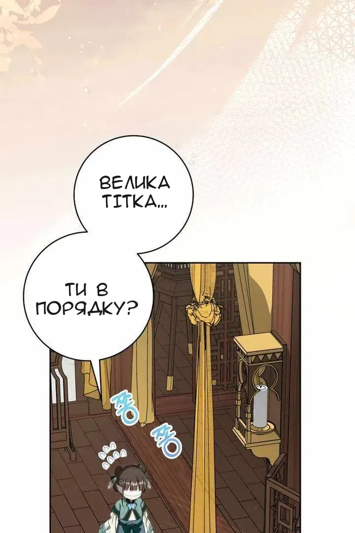 Сторінка 29