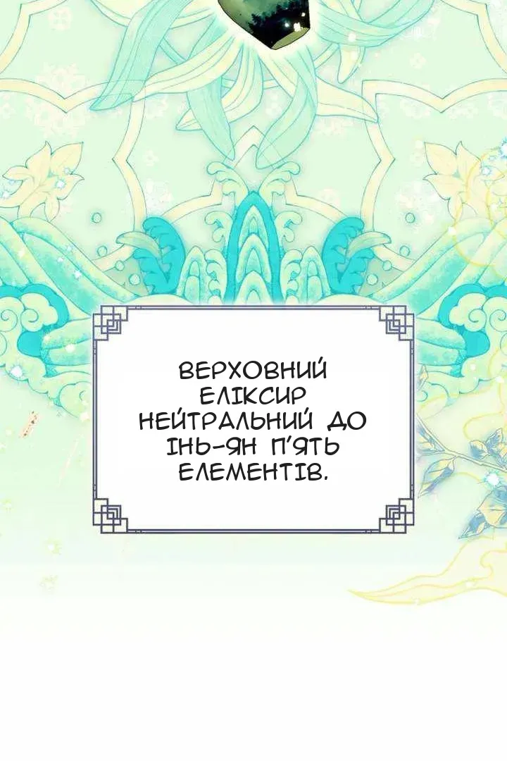 Сторінка 29