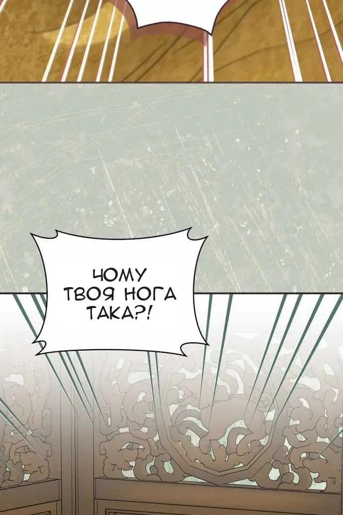 Сторінка 45