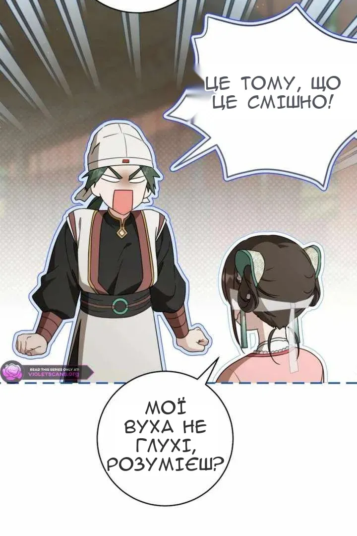 Сторінка 29