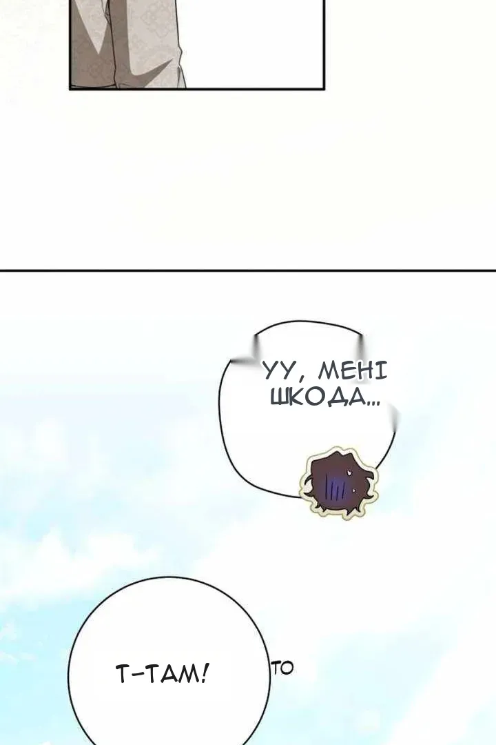 Сторінка 79