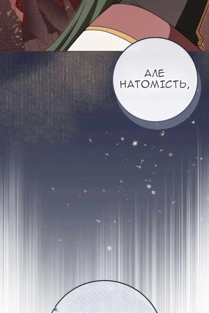 Сторінка 107