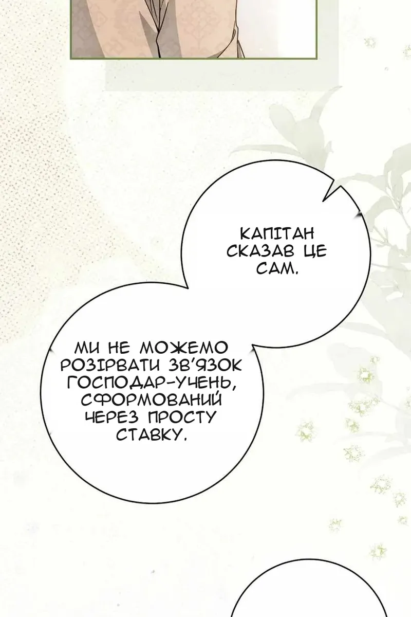 Сторінка 27