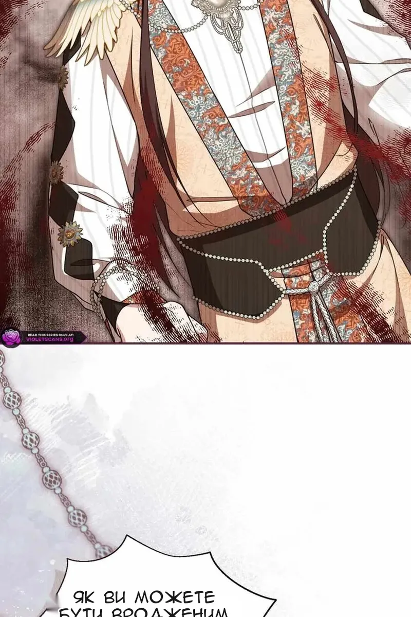 Сторінка 41