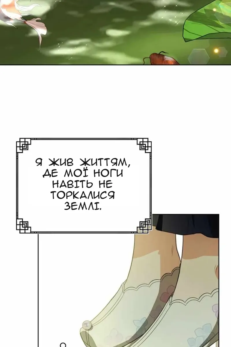 Сторінка 5
