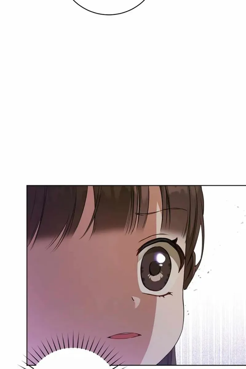 Сторінка 17