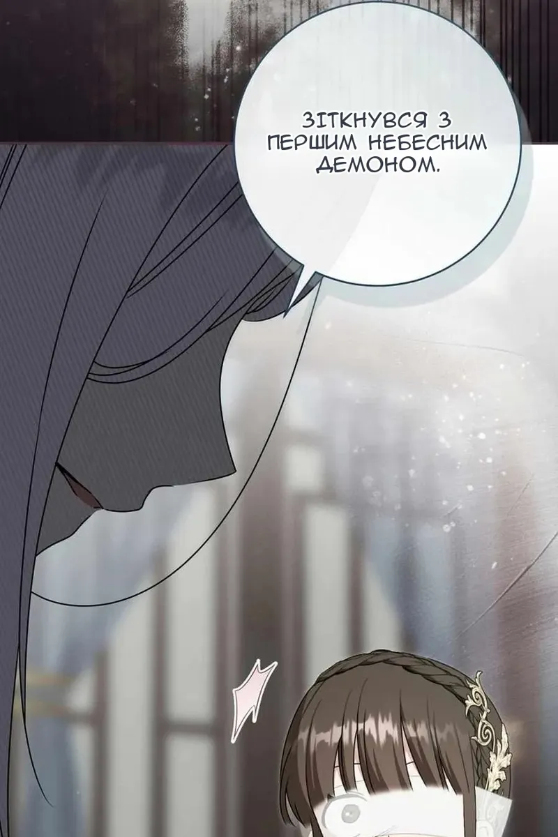 Сторінка 78