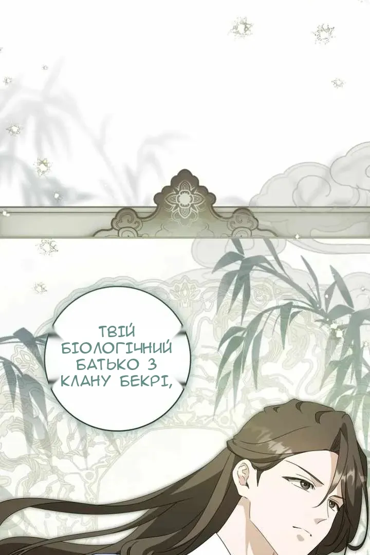 Сторінка 8