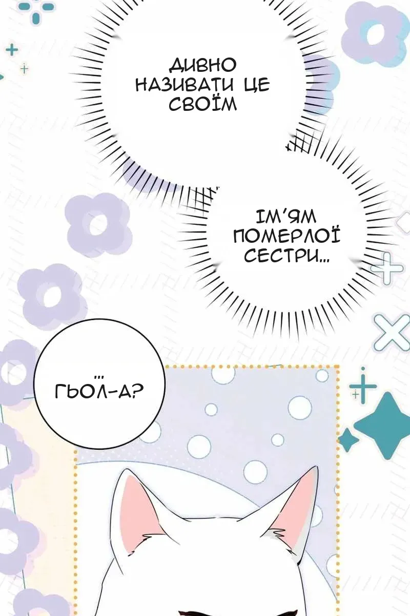 Сторінка 14