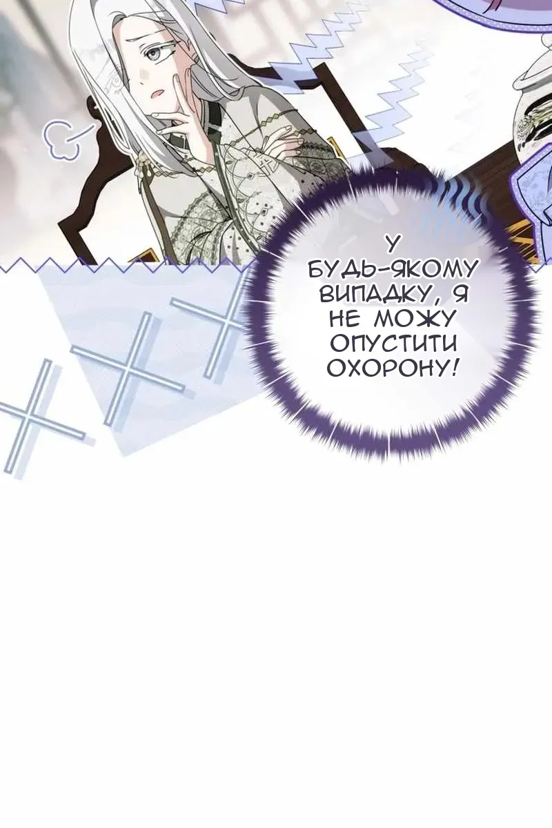 Сторінка 29