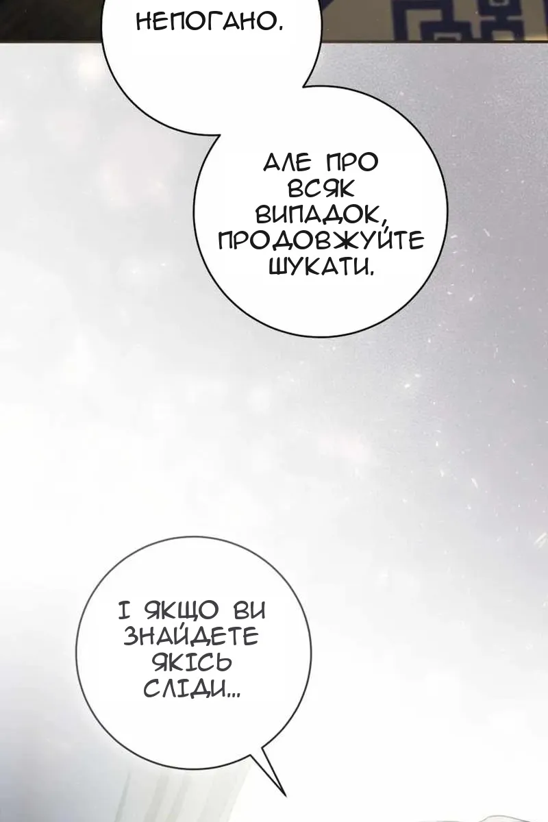 Сторінка 41