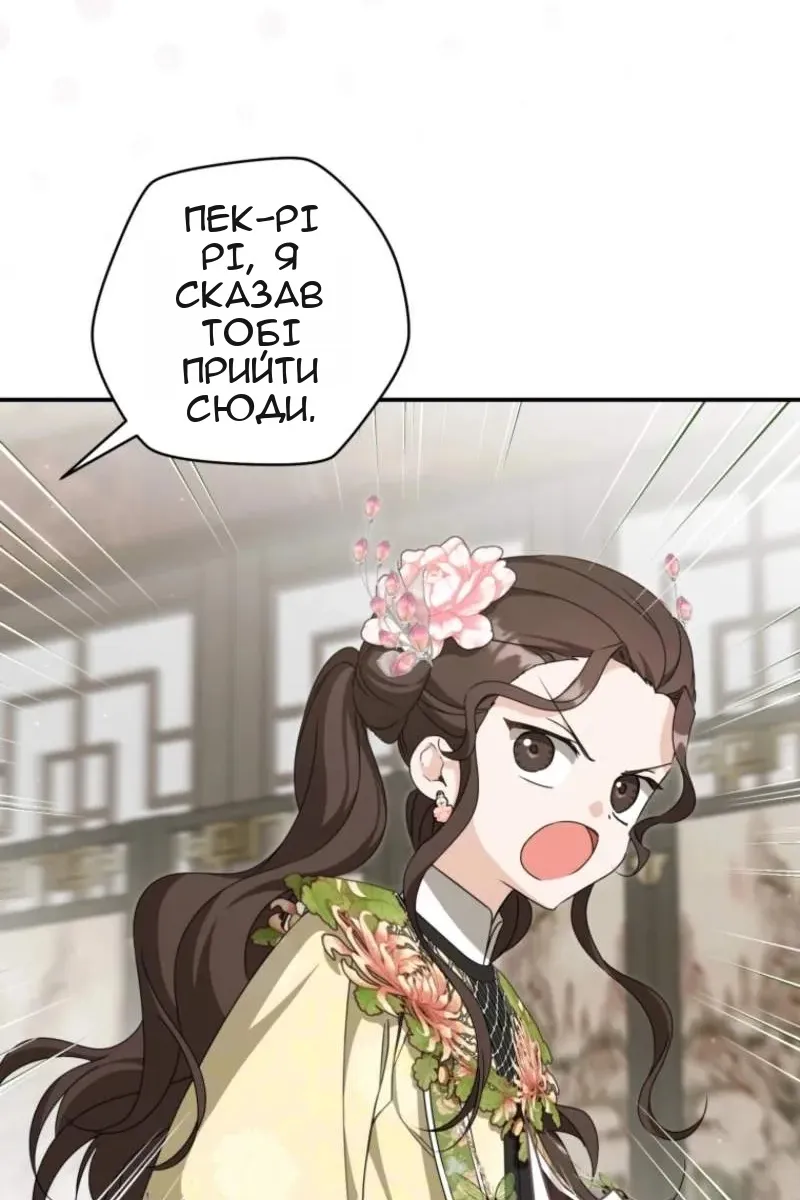 Сторінка 13