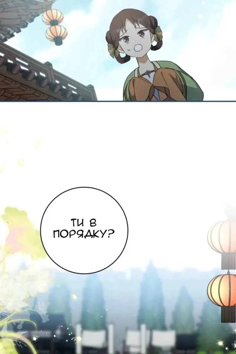 Сторінка 25
