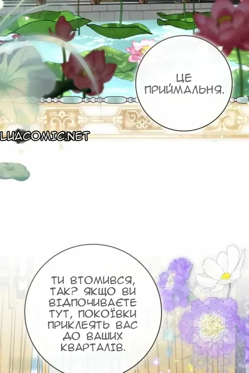 Сторінка 32