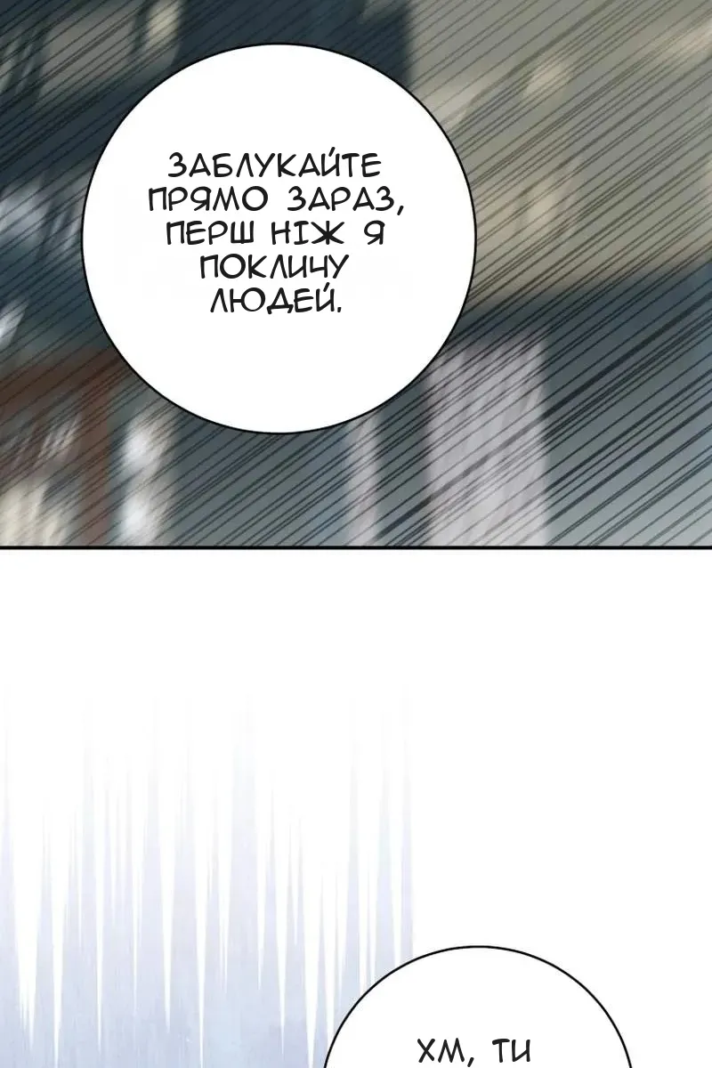 Сторінка 17