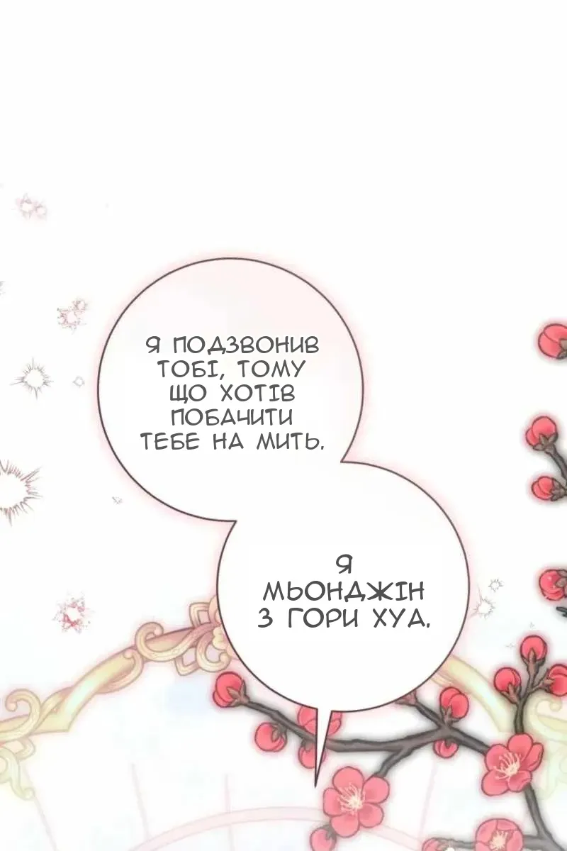 Сторінка 113