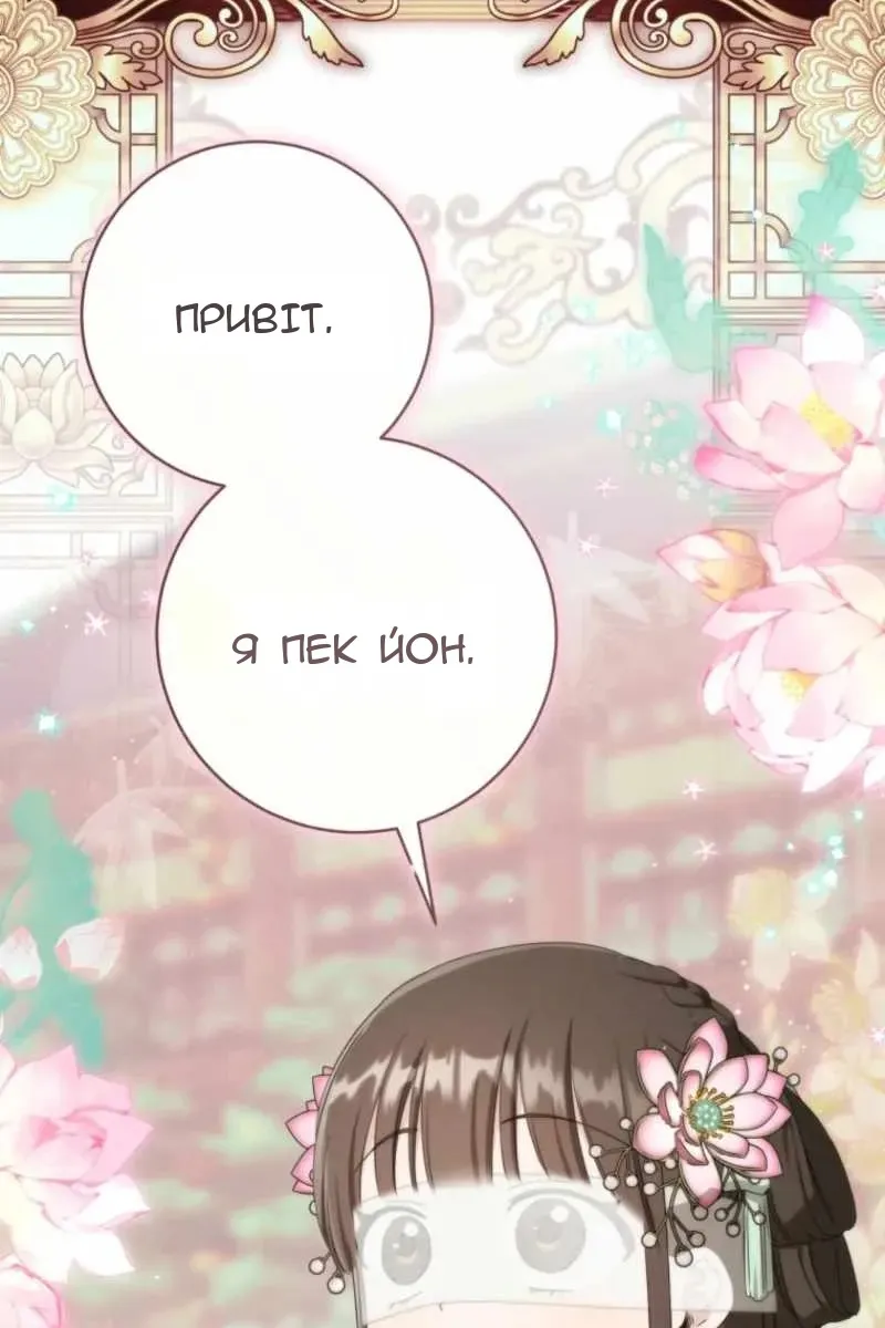 Сторінка 5