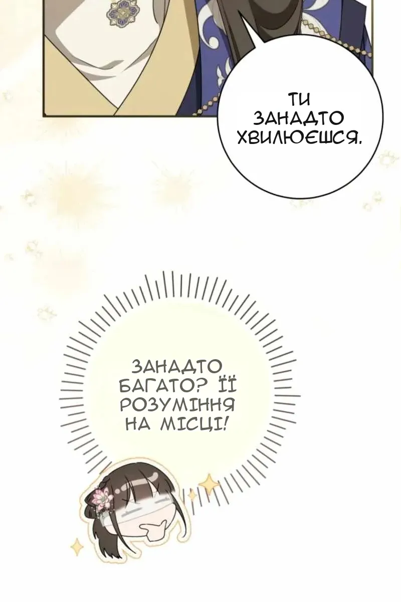 Сторінка 17