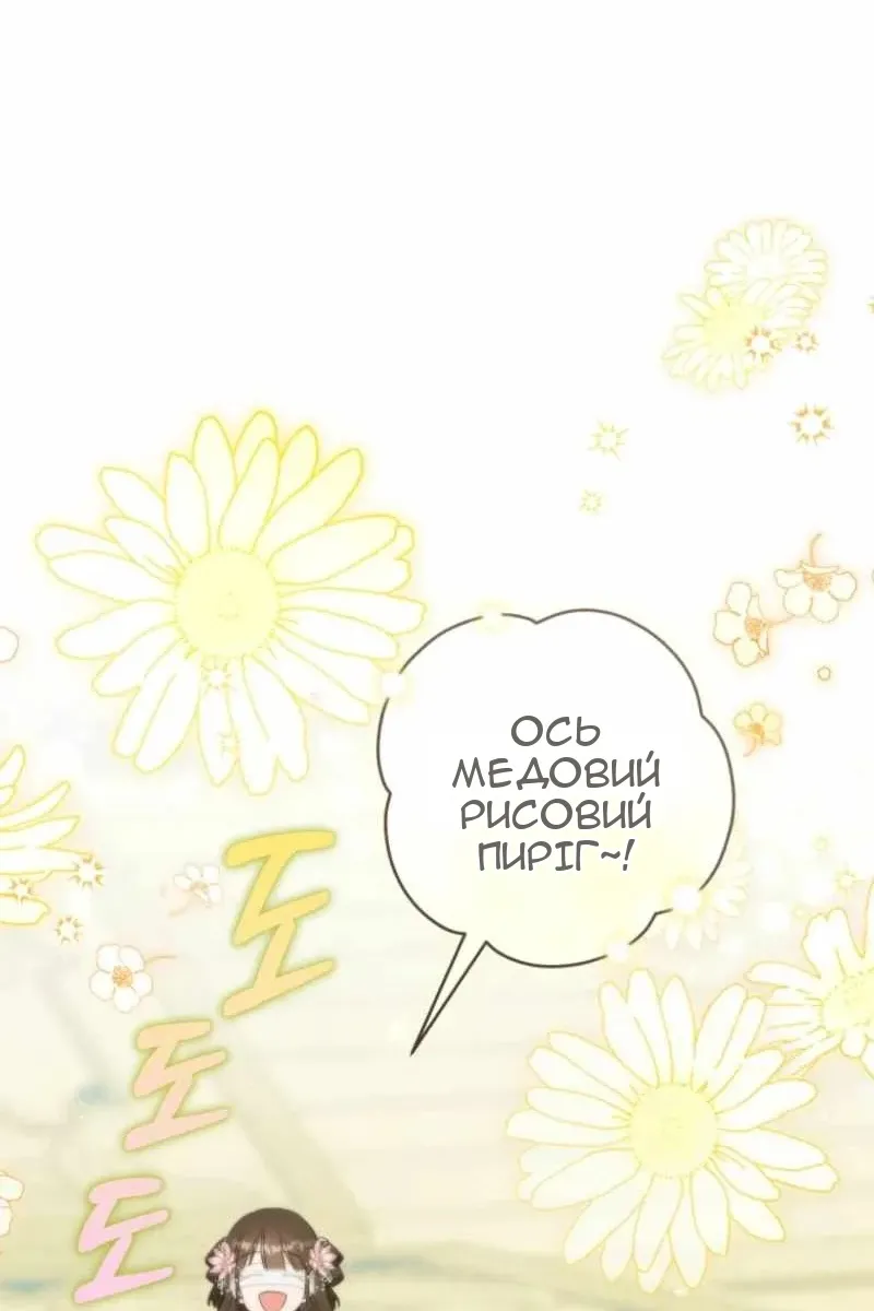 Сторінка 28