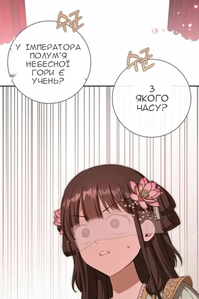 Сторінка 24