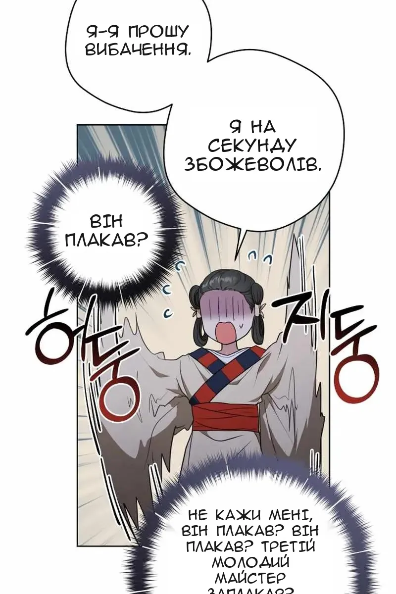 Сторінка 17
