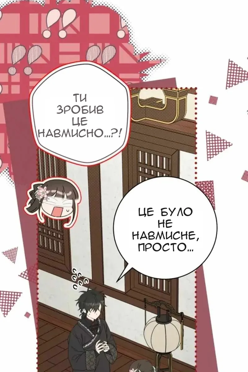 Сторінка 71