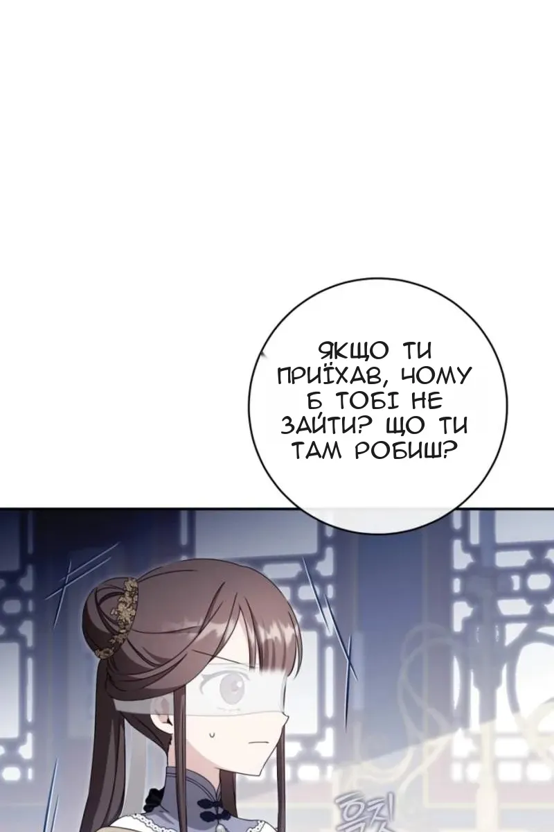 Сторінка 40
