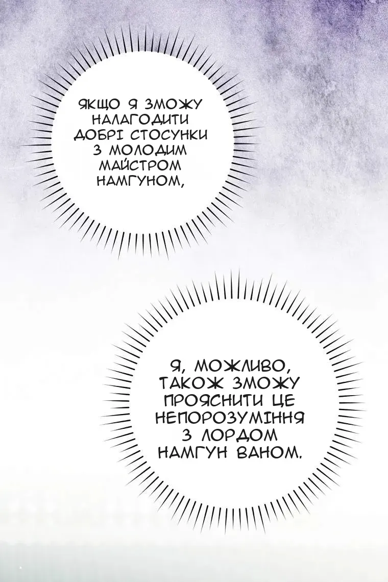Сторінка 51