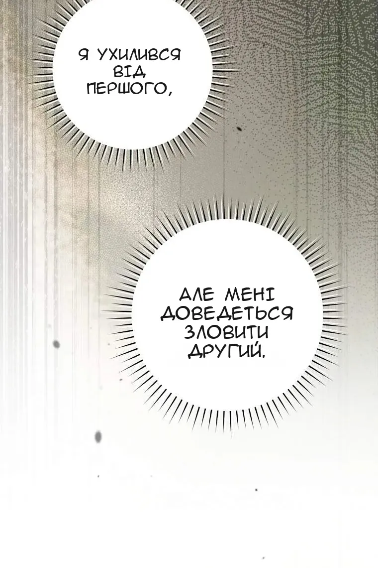 Сторінка 84