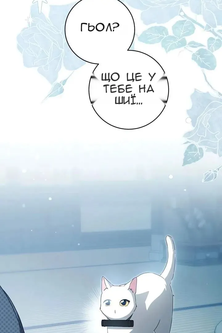 Сторінка 43
